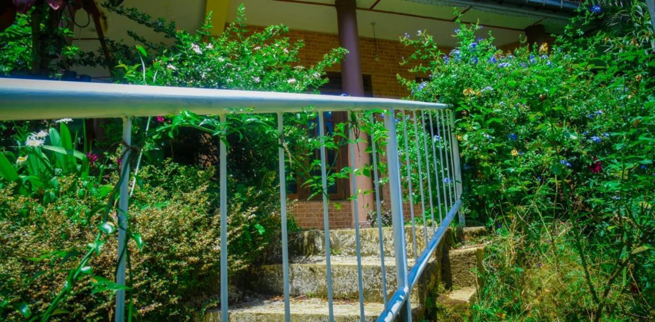 City Escape Hotel Ella Luaran gambar